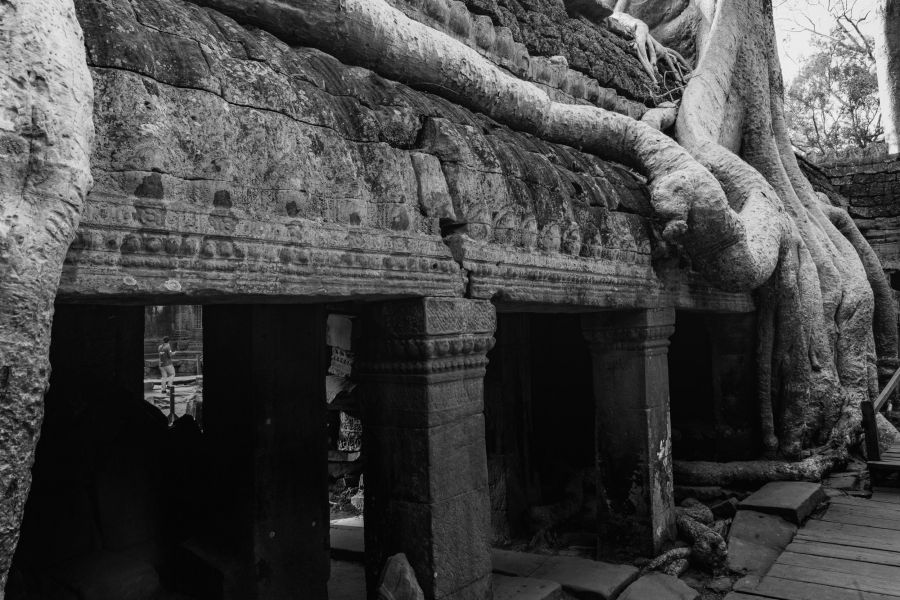 ta prohm-151.jpg